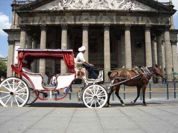 calandria-centro-guadalajara