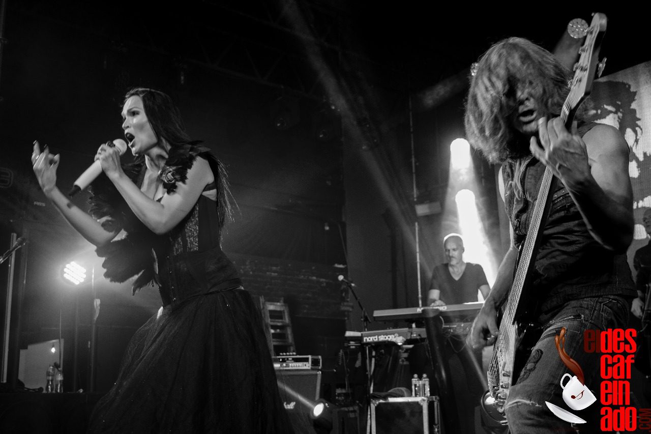 Tarja