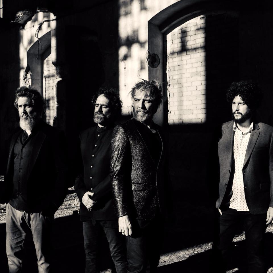 Elefantes a la primera luz del día