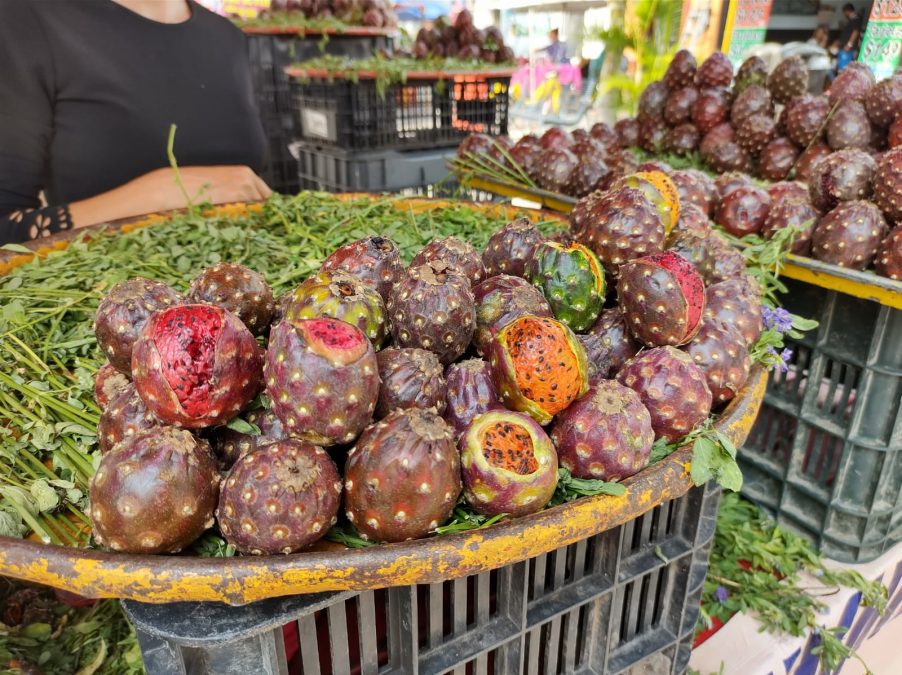 Feria de la pitaya en el centro tapatío.