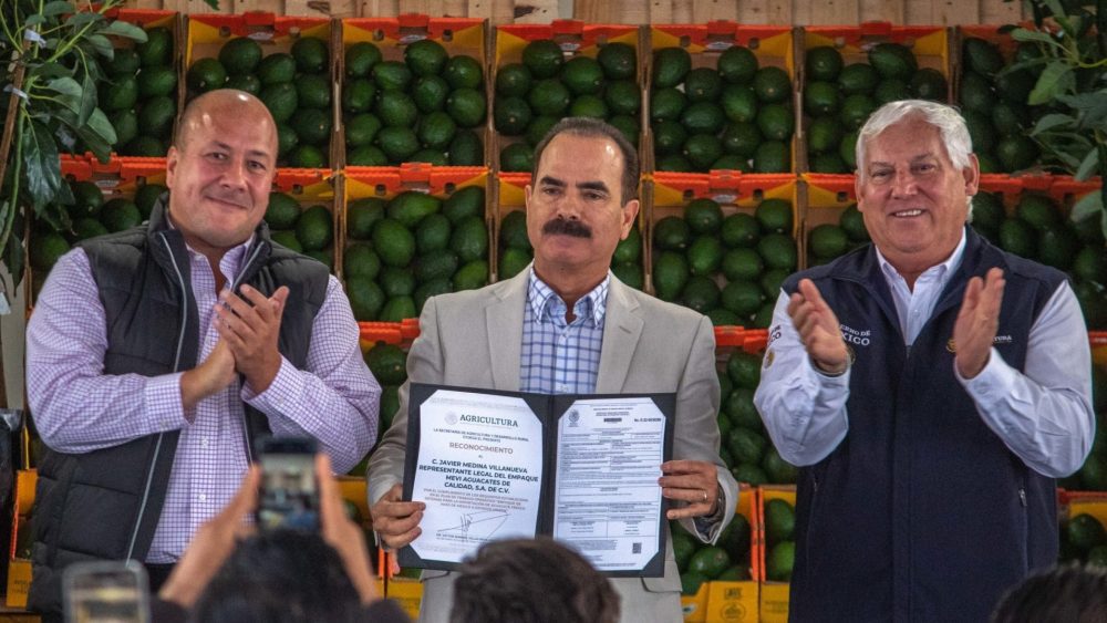 Javier Medina representante legal aguacatero valora el regreso del aguacate al mercado estadounidense